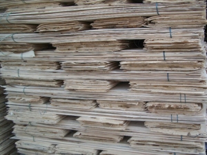 Plywood Veneers